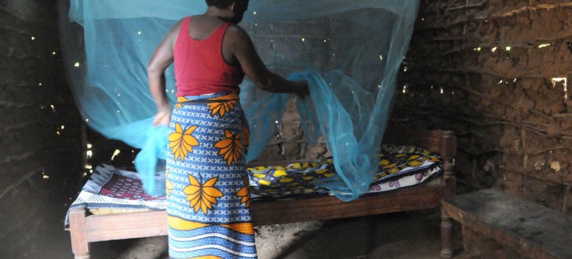 Insecticide-treated bed nets are crucial in the fight against malaria.