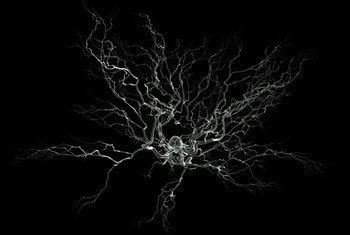 media:entermedia_image:634bca6e-0c39-4a6e-8191-8117c6947955