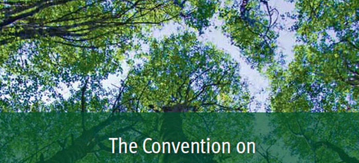 Photo: Convention on Biological Diversity