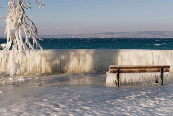 A park on the banks of Lake Geneva, Switzerland, covered entirely in ice.