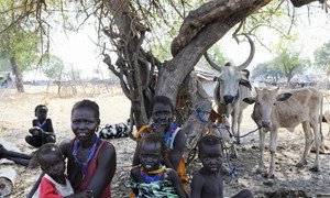 Challenges facing South Sudanese include poor harvests, price hikes, conflict and displacement.