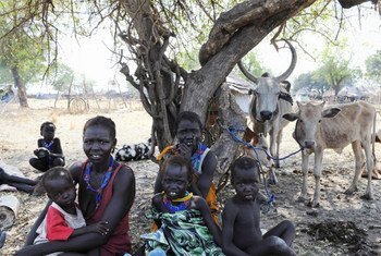 Challenges facing South Sudanese include poor harvests, price hikes, conflict and displacement.