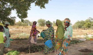 Drought in the Sahel region makes farming and gardening very diffcult for the women of Yelimne, Mali.