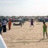 Le HCR fournit une assistance aux réfugiés du Mali comme ceux-ci arrivés en Mauritanie. Photo HCR/A.O. Barry