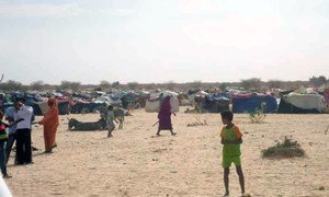 UNHCR has been providing assistance to refugees from Mali such as these arrivals in Mauritania.