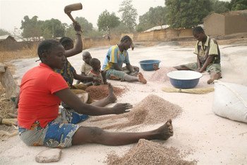 Women in the northwestern Central African Republic town of Paoua processing millet.