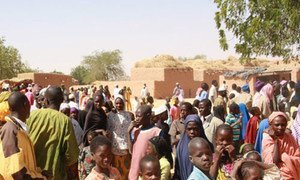 Armed conflict in northern Mali has forced thousands to flee their homes and seek refuge in neighbouring countries such as Niger.