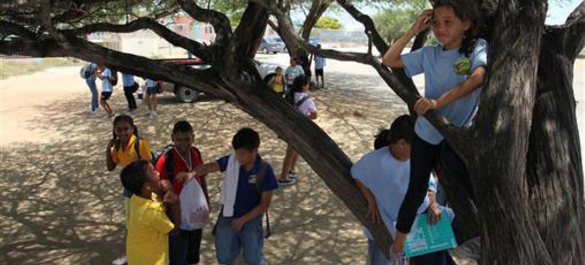 Des enfants jouent à l'extérieur d'une école à Noord, une ville située sur l'île caribéenne d'Aruba. 