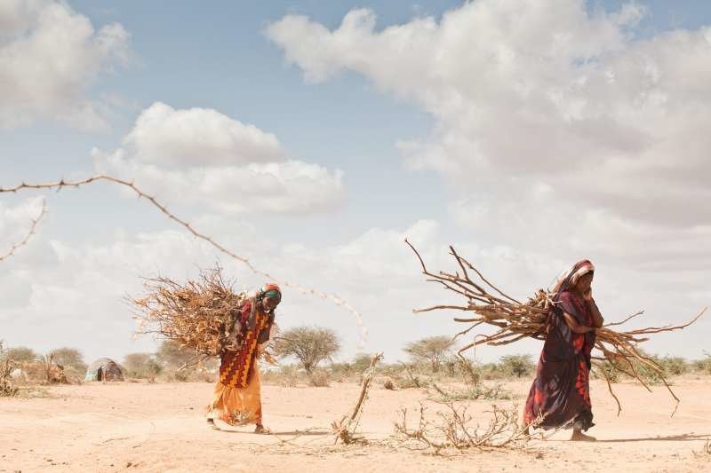 Mudança climática contribui para seca em África.