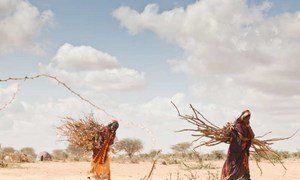 Le changement climatique entraîne des déplacements croissants en Afrique, où des régions sont ravagées par la sécheresse. Photo UNHCR/B. Bannon