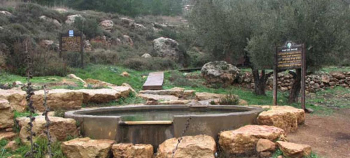 La source Ein Al Ariq, près du village de Qaryut. Elle a été nommée Ein Hagvura par les colons israéliens qui s'en sont emparés. Photo OCHA