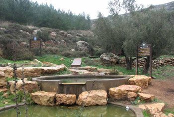 La source Ein Al Ariq, près du village de Qaryut. Elle a été nommée Ein Hagvura par les colons israéliens qui s'en sont emparés. Photo OCHA