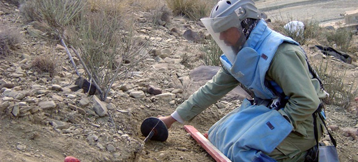 Demining engineer of the Mine Action Programme of Afghanistan clears an anti-personnel landmine.