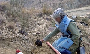 Demining engineer of the Mine Action Programme of Afghanistan clears an anti-personnel landmine. UN Photo/UNMACA