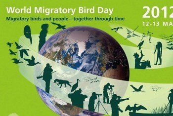 Photo: World Migratory Bird Day