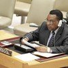 Le Représentant spécial Augustine Mahiga devant le Conseil de sécurité. Photo ONU/Paulo Filgueiras