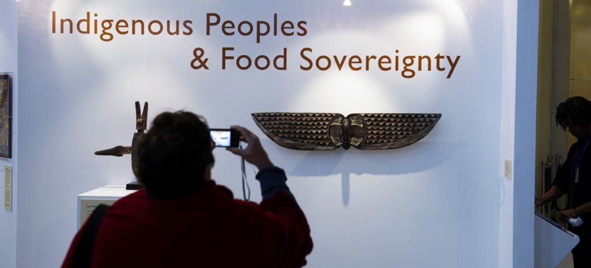 Une exposition sur les peuples autochtones au siège de l'ONU à New York. Photo ONU/Mark Garten