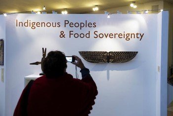 Une exposition sur les peuples autochtones au siège de l'ONU à New York. Photo ONU/Mark Garten