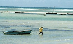 Des pêcheurs aux abords de Dar es Salaam, près de la Tanzanie. ONU Photo/Milton Grant