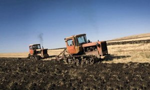 Tracteurs en Arménie. Labourer les sols constitue l'activité agricole la plus consommatrice de ressources énergétiques.