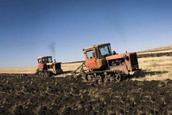 Tracteurs en Arménie. Labourer les sols constitue l'activité agricole la plus consommatrice de ressources énergétiques.