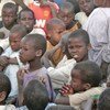 Koranic students make up the bulk of the some 1000 Chadian migrants who have fled Boko Haram-related violence in northern Nigeria.