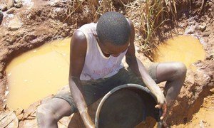 The use of mercury to extract gold poses health risks to artisanal miners.