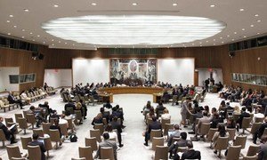 The Security Council.