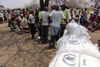 世界粮食计划署在津巴布韦为面临缺粮风险的人提供粮食援助。