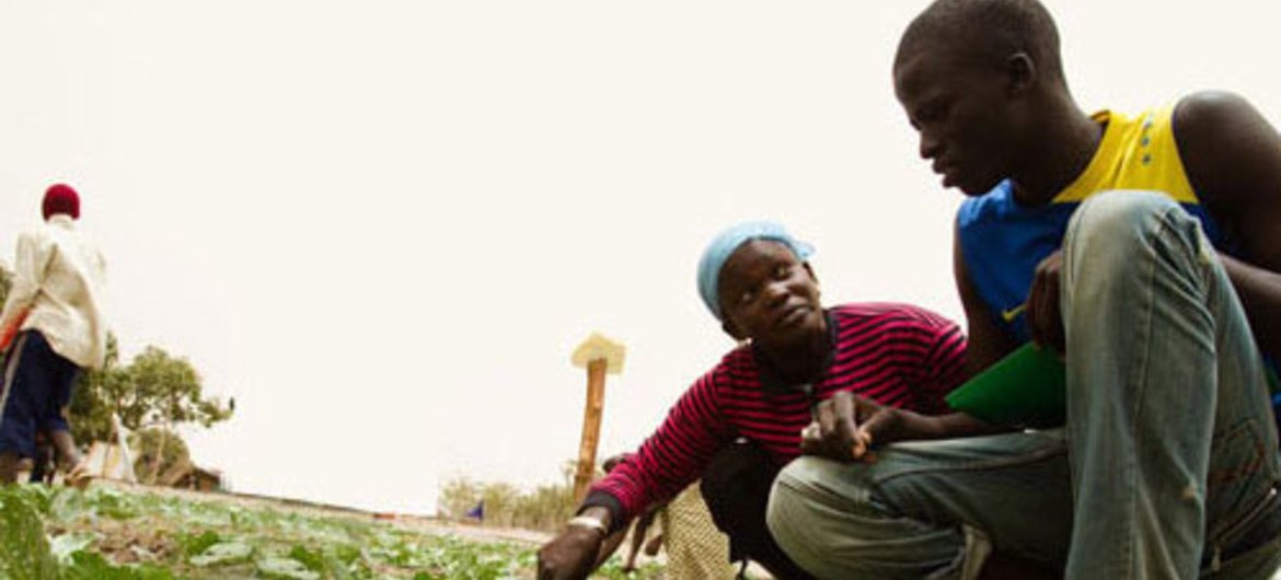 Agriculteurs en Afrique.