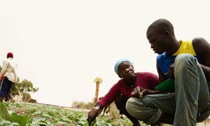 Agriculteurs en Afrique.