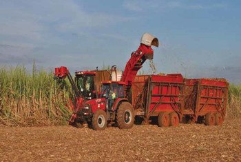 New FAO report focuses on investments in developing countries, urging caution on large-scale land acquisitions.