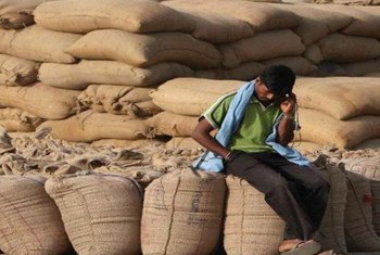 Environmental Risk Integrationin Sovereign Credit Analysis.