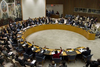 Le Conseil de sécurité des Nations Unies en séance publique.