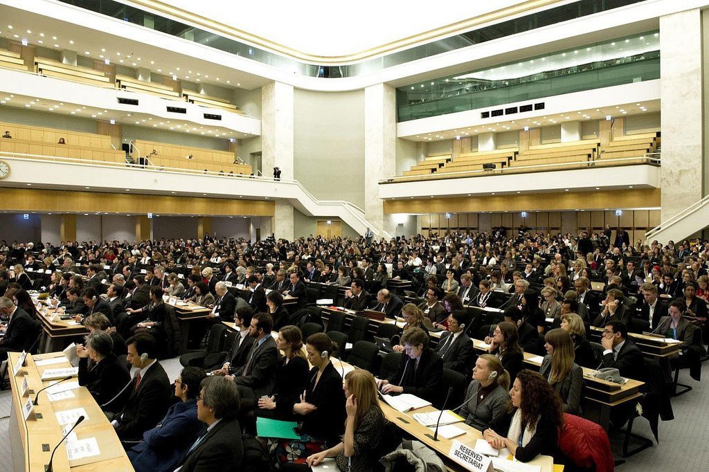 联合国工商业与人权问题工作组高级别会议（资料）