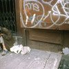 Un hombre sin hogar en las calles de Nueva York. 