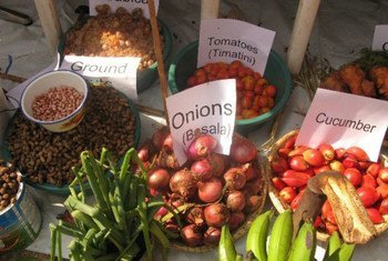 media:entermedia_image:2c861d15-fdc1-4da8-a0d9-7b2abf83dd0e