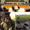 CITES welcomes the Security Council’s call for investigation into the alleged involvement of the Lord’s Resistance Army (LRA) in the poaching of African elephants.