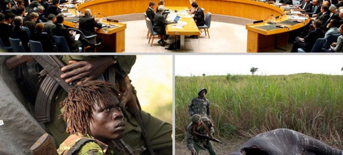 CITES welcomes the Security Council’s call for investigation into the alleged involvement of the Lord’s Resistance Army (LRA) in the poaching of African elephants.