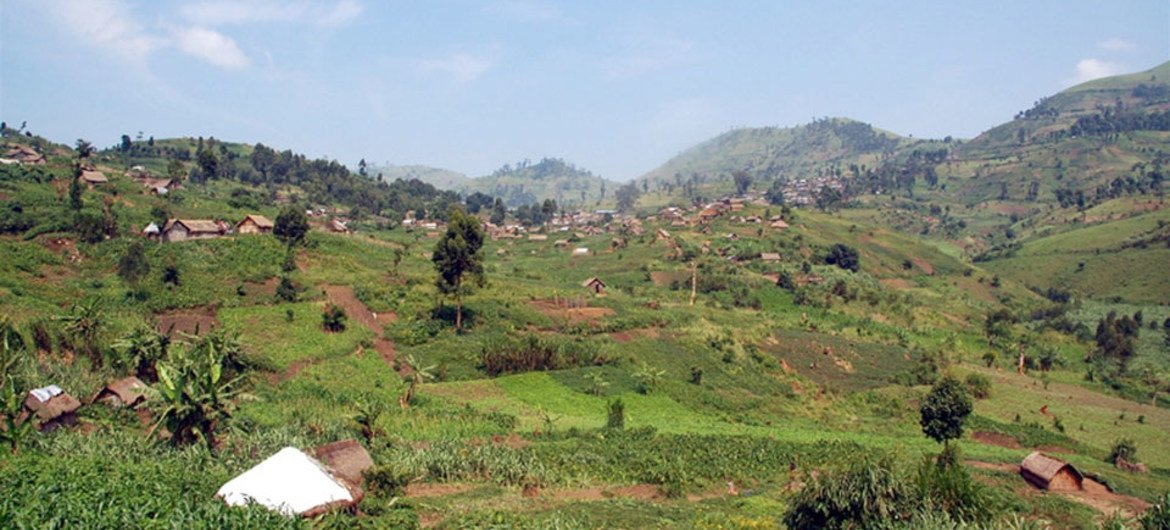 Les collines fertiles du territoire de Masisi, dans la province du Nord-Kivu.
