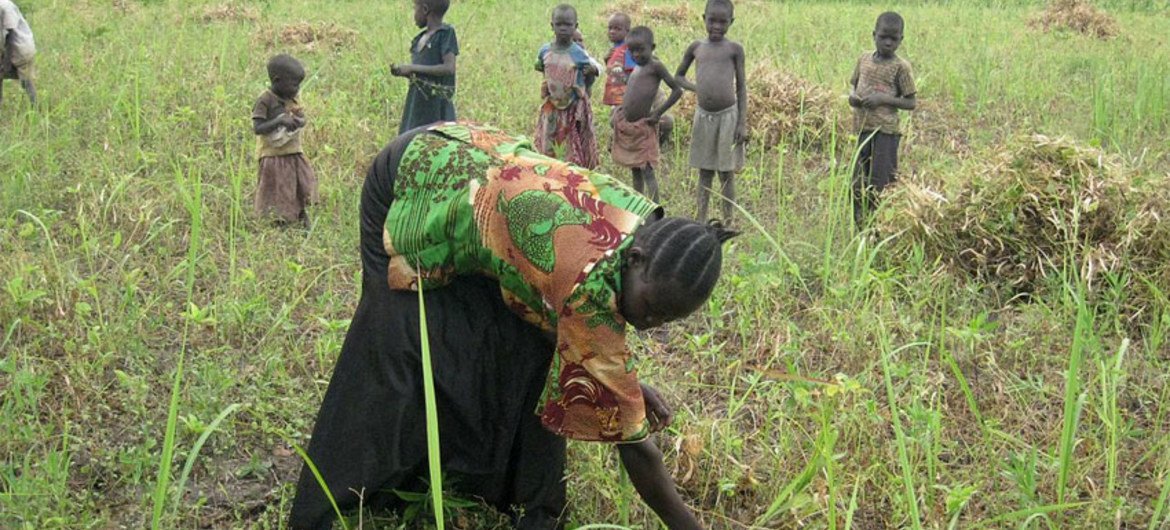Margerita, a South Sudanese farmer, sows the seeds for her maize crop for next year.