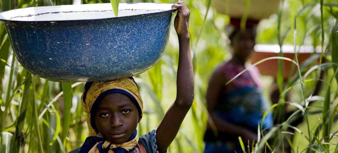 Une fillette dans l'état de Kaduna, au Nigeria, transporte de l'eau d'une rivière infestée de mouches porteuses du virus de l'onchocercose, la "cécité des rivières".