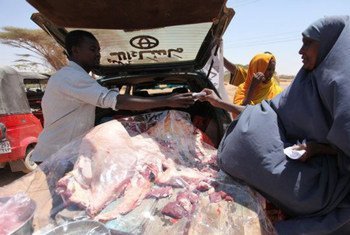 In Burao, northern Somalia, a resident uses WFP food vouchers to buy camel meat from a local meat vendor.