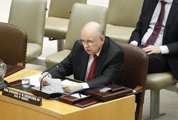 Special Representative Roger Meece briefs the Security Council.