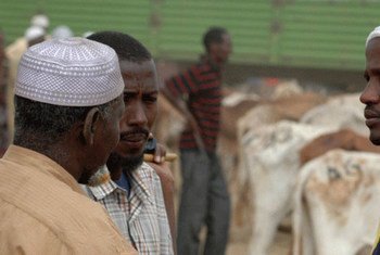 Traders at the livestock market in Garissa, Kenya.