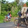 科特迪瓦西部骑摩托的人。区域综合信息网/Nancy Palus