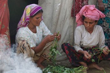 Women in Thea Chaung camp, Rakhine State, Myanmar,  prepare a meal.