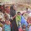 Familias somalíes desplazadas   Foto: FAO Somalia