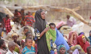 Somali families displaced at Dhobley near the Somalia-Kenya border.