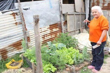 UN Trust Fund for Human Security (UNTFHS) has empowered over 500 families in Soacha, Colombia, to improve food security and nutrition in a self-sufficient manner.